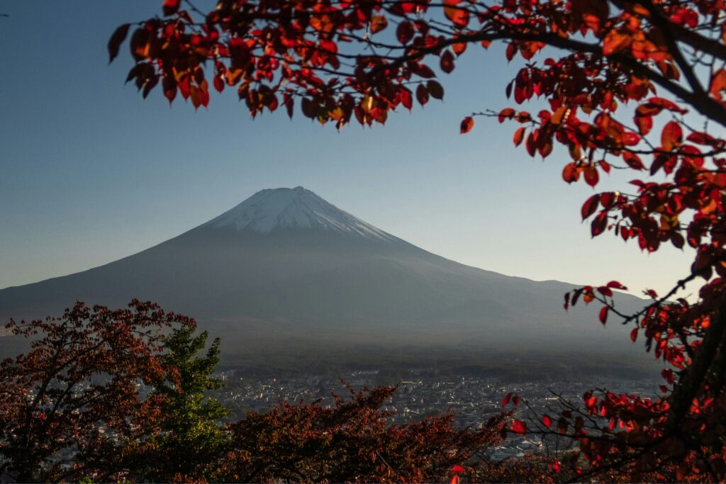 Best Airlines to Fly to Japan