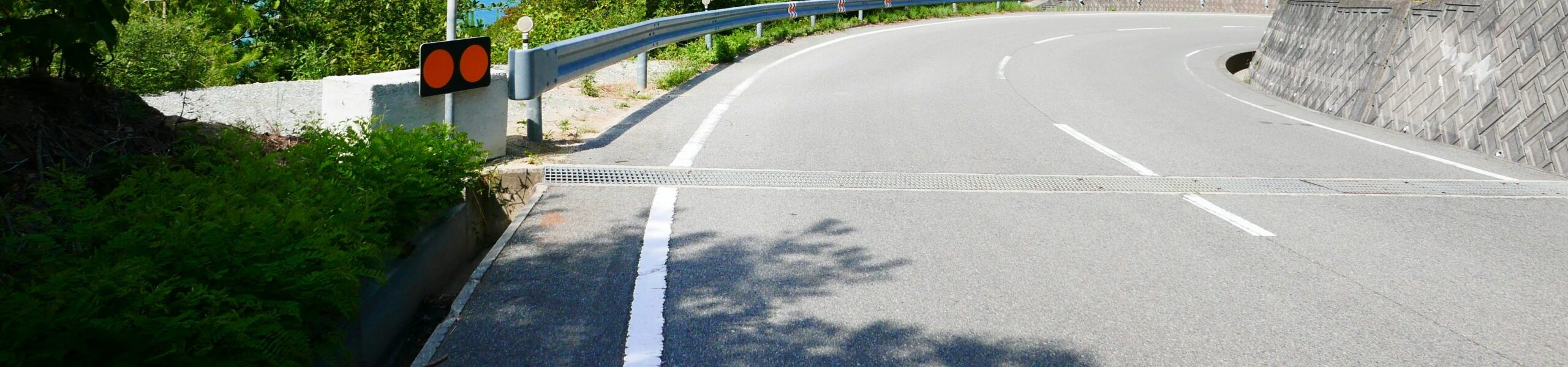 What Side of the Road Does Japan Drive On