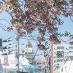 best places to stay in japan